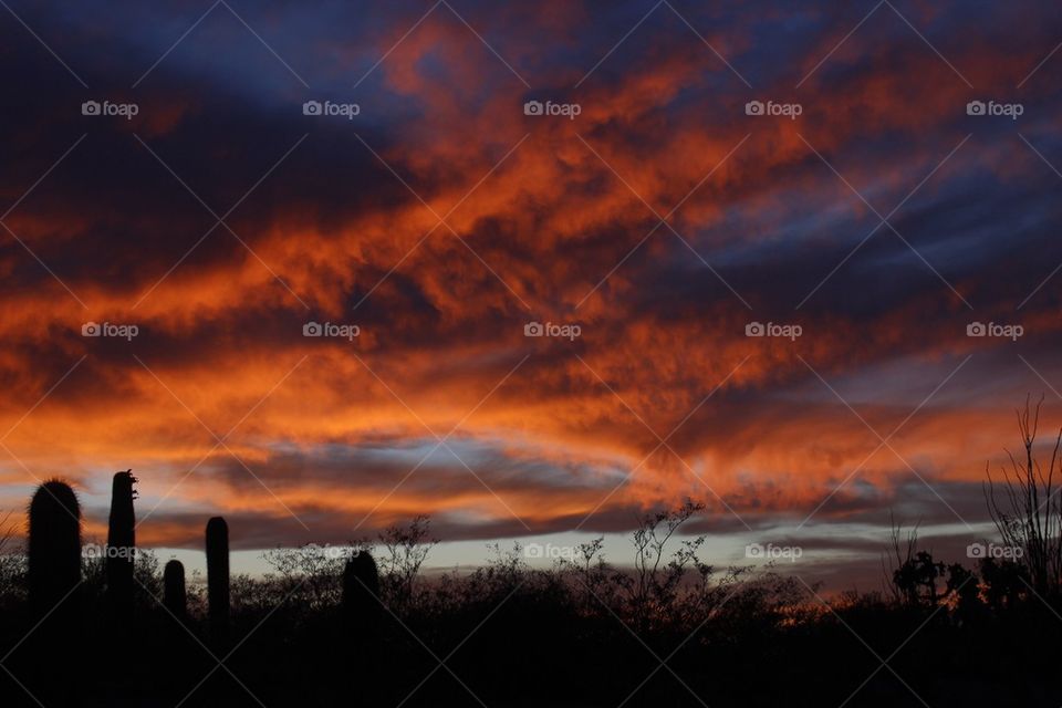 Arizona sunset 