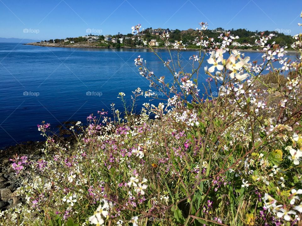 Floral coast