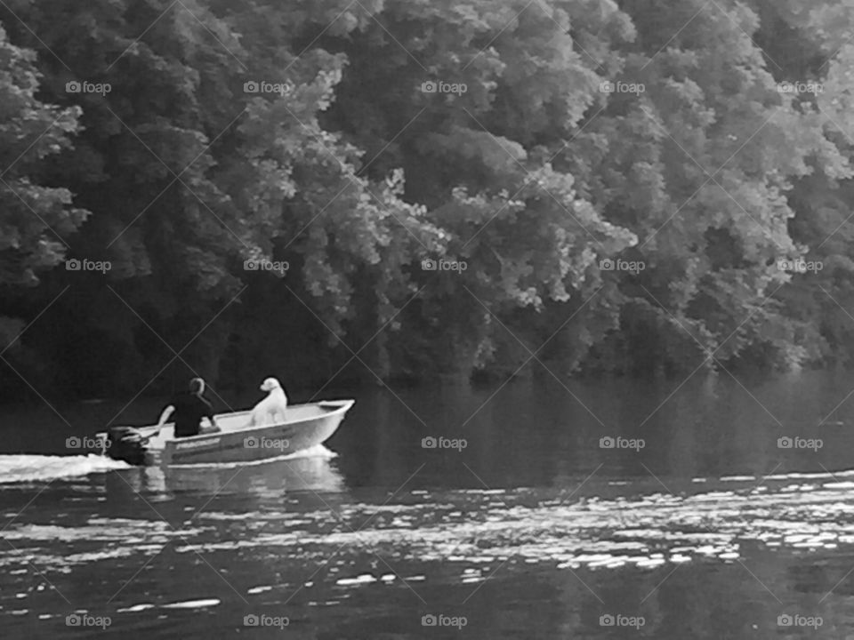 A man and his dog on the Erie Canal 