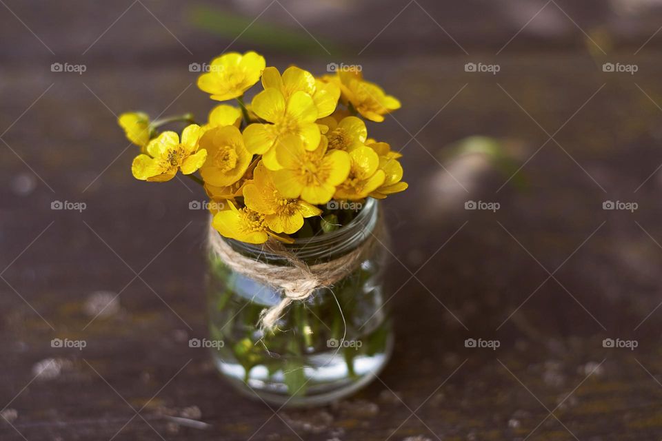 yellow flowers