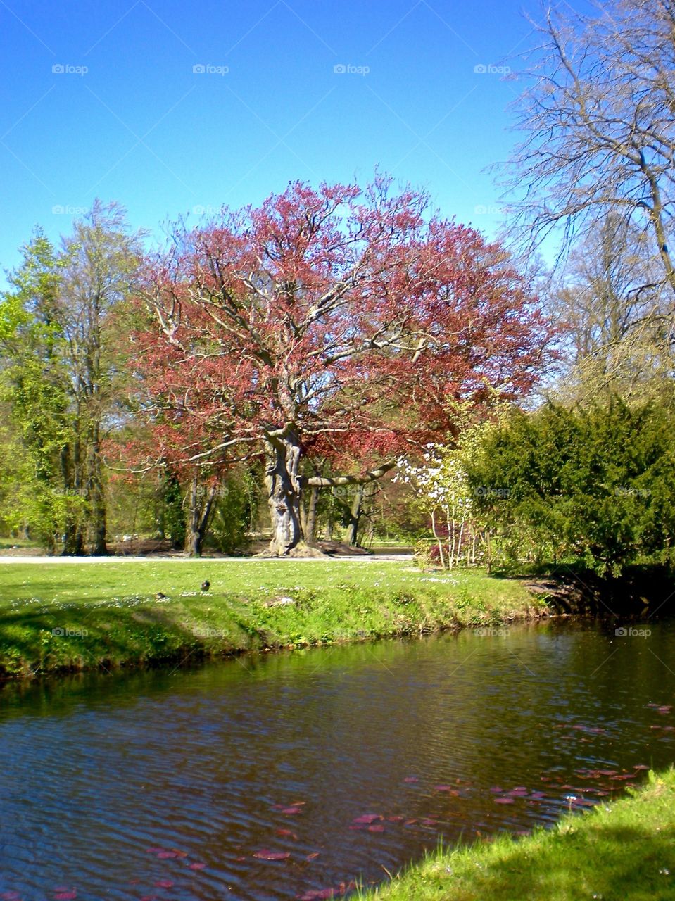 Park Clingendael Den Haag
