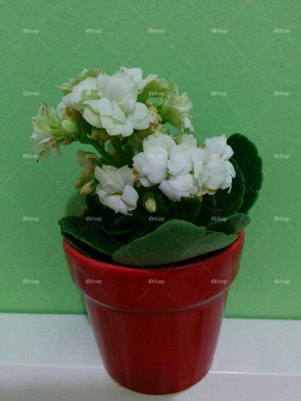 a really good present