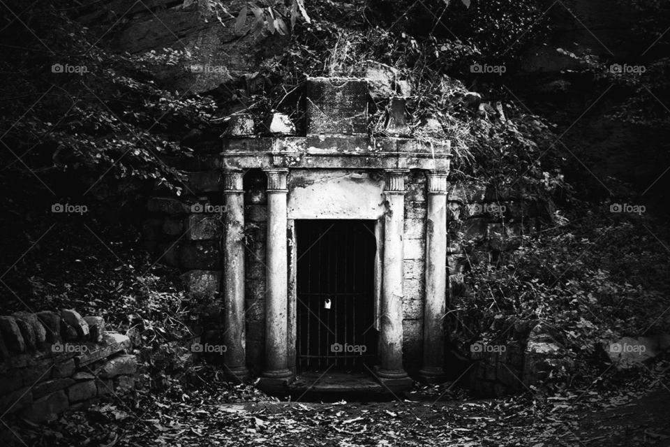 Into The midst. Taken at the Yorkshire Sculpture Park, a very eery part made more eery with the dark monochrome retouch. 
