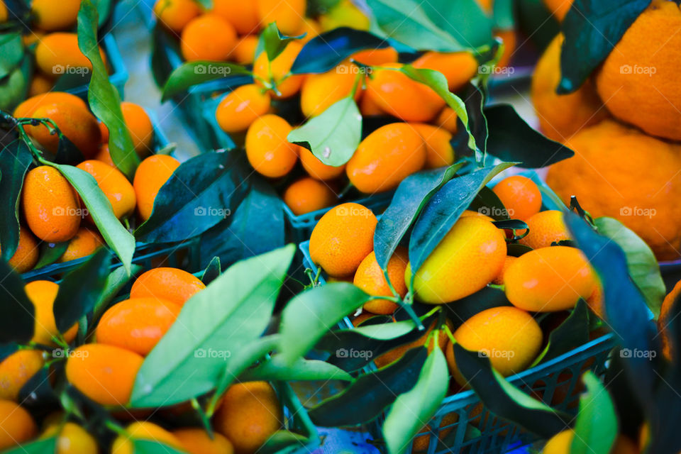 Kumquats
