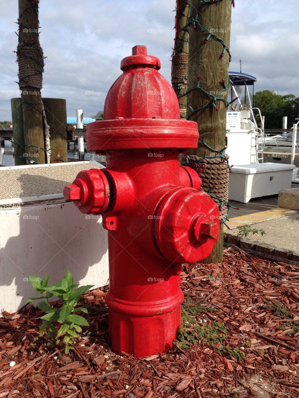Hydrant