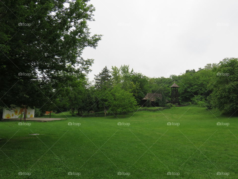 Green desert picnic area