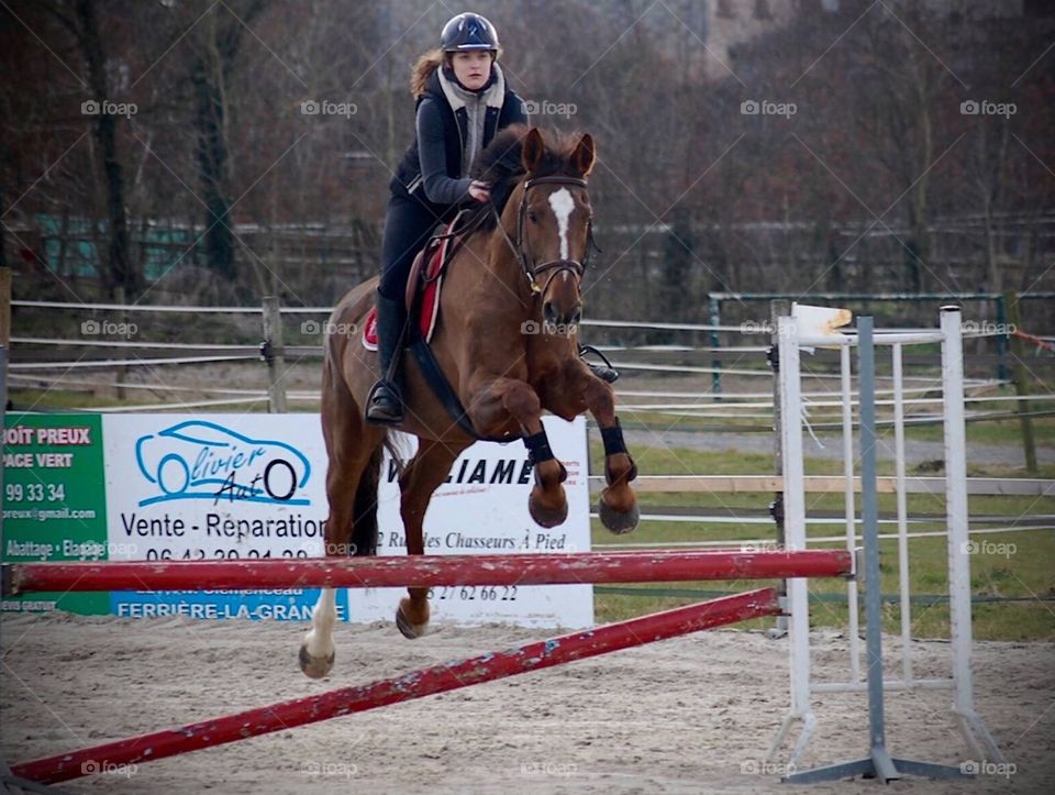 French young rider during a jumping training with her French saddle breed mare 