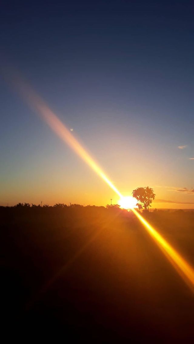sol