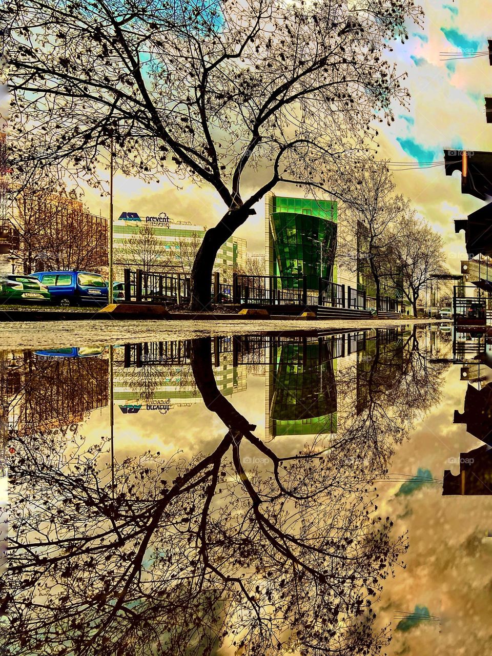 The world in the mirror