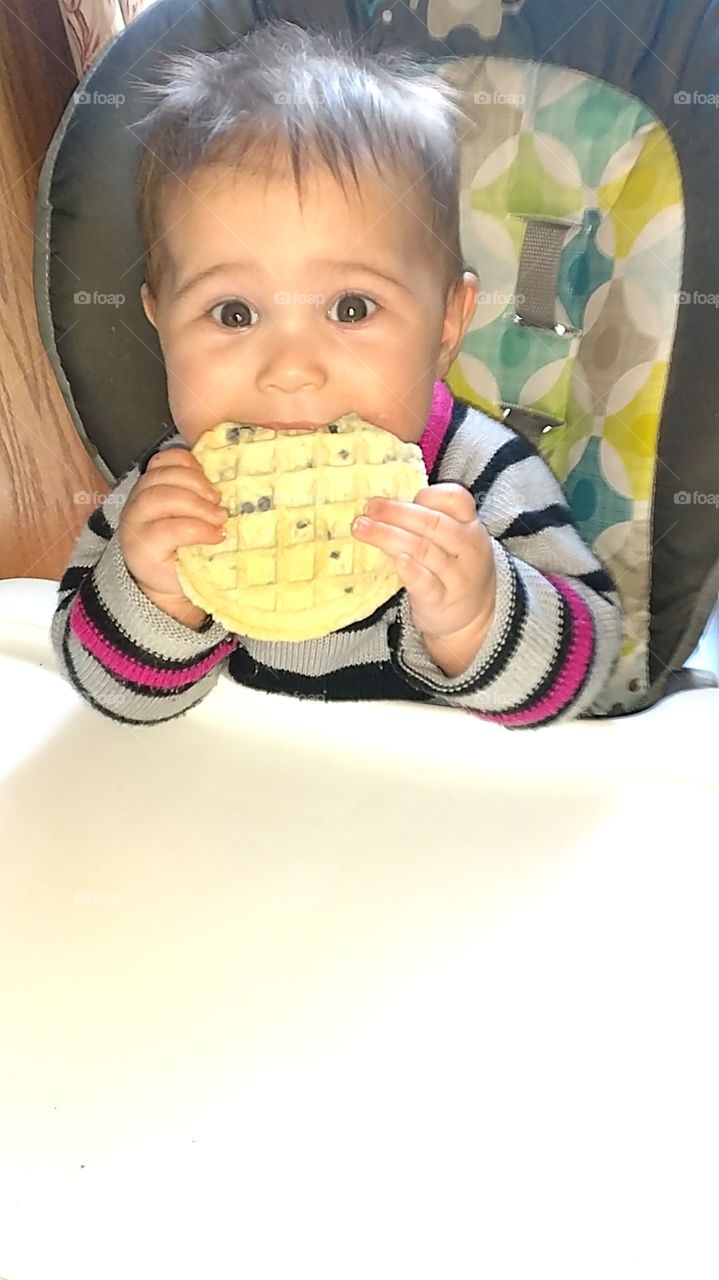 waffle baby