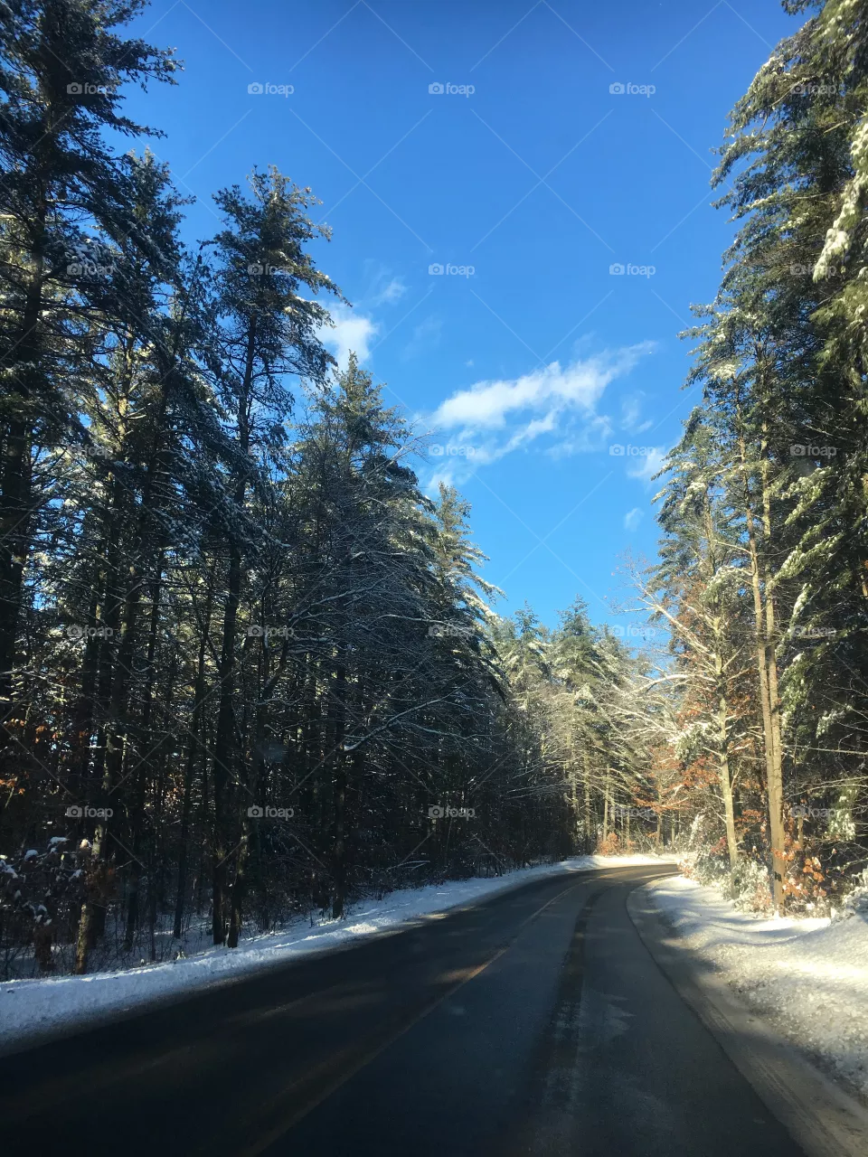 Winter