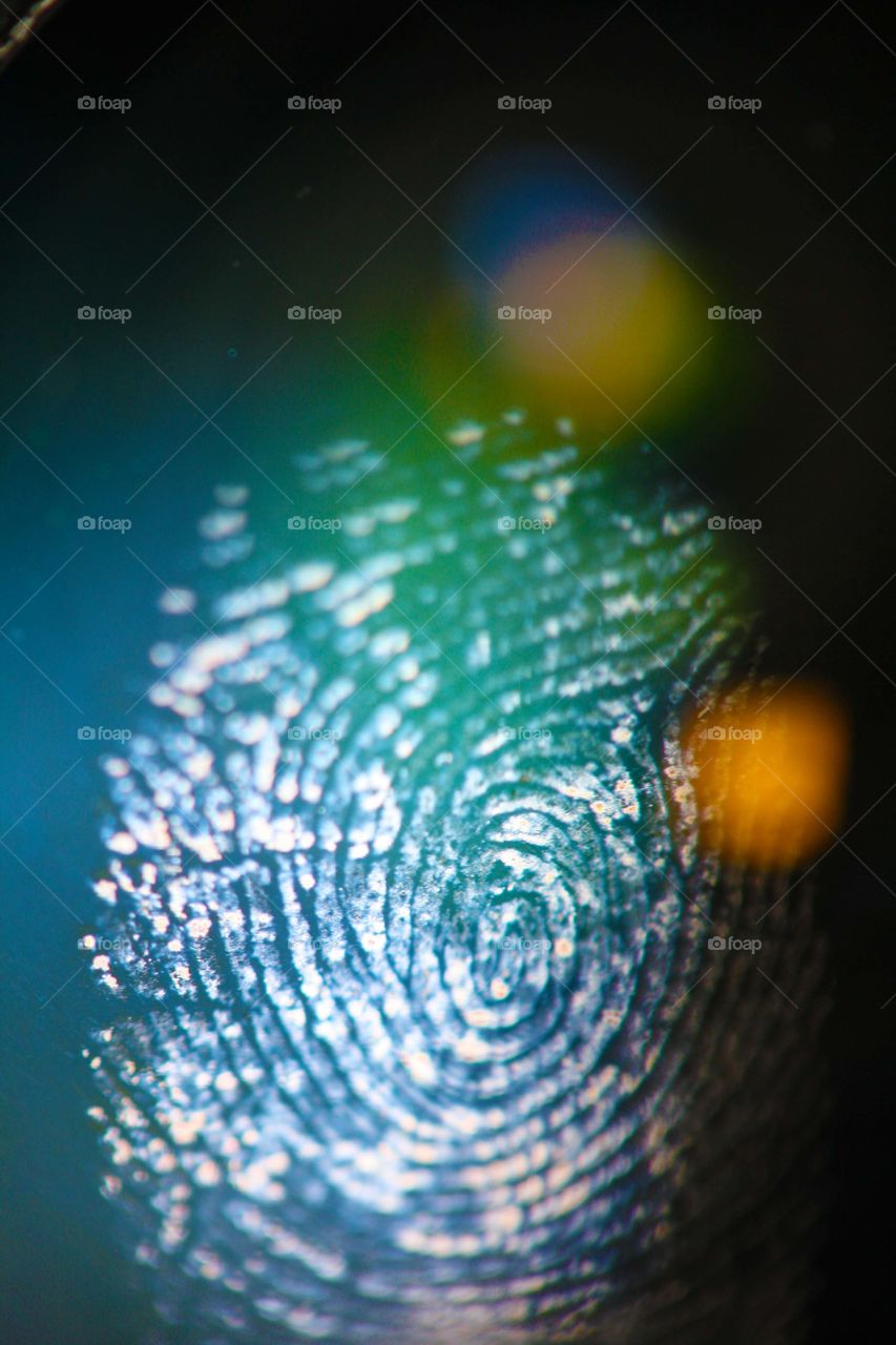 Fingerprint