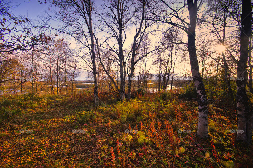 Golden autumn in the Golubezna lakes.