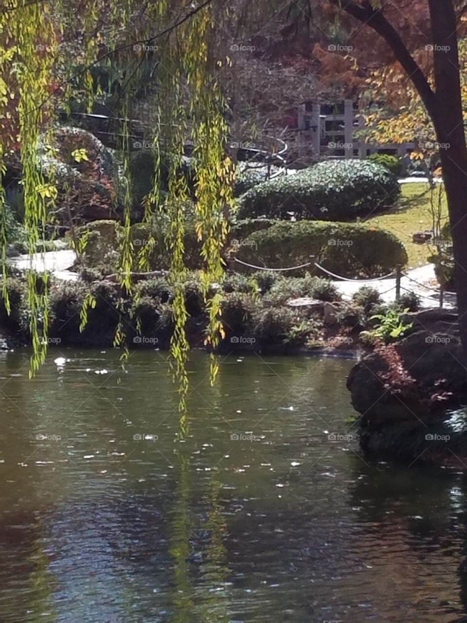 Japanese Gardens at Fort Worth botanical