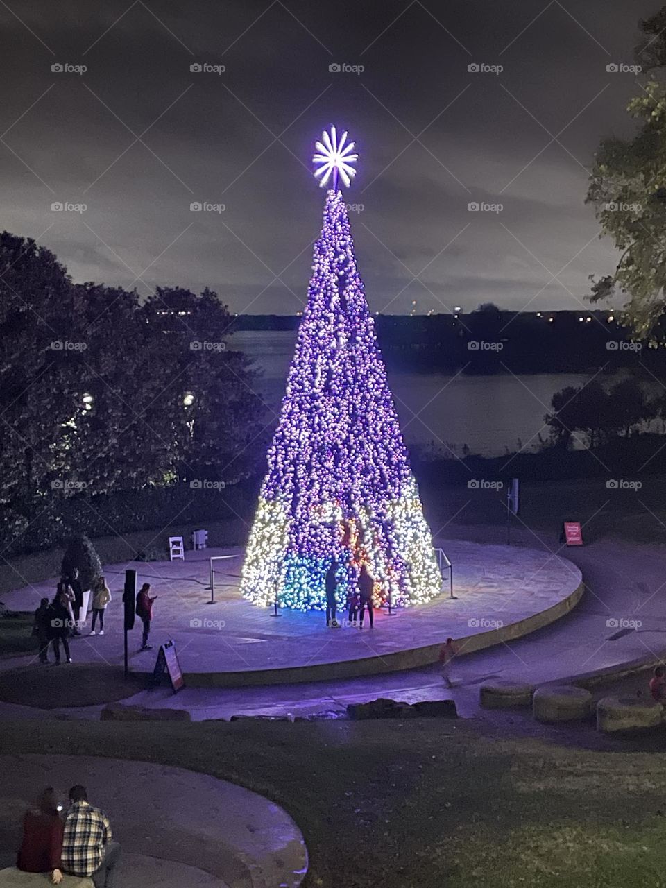Lighted  Christmas tree 