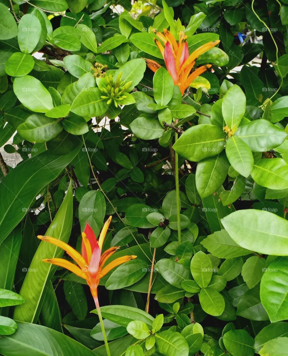 Source of inspiration