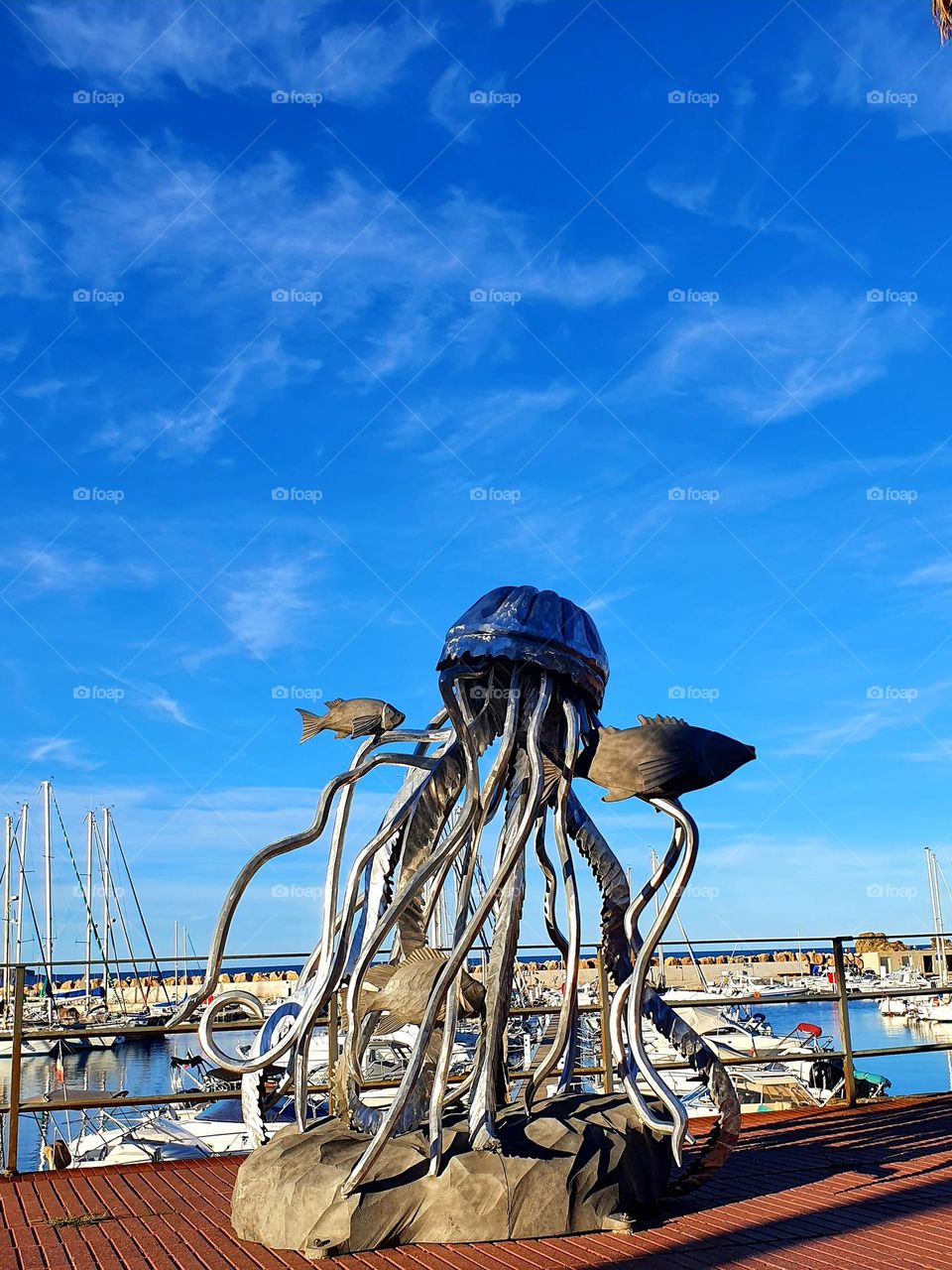 Ballet of a jellyfish