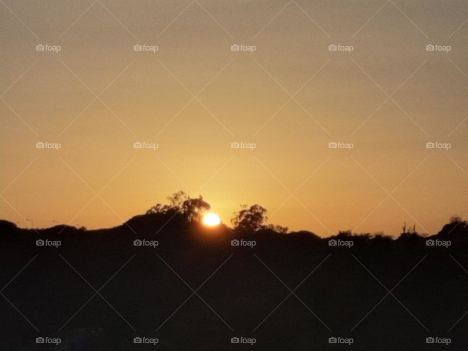 Nature's magic touch