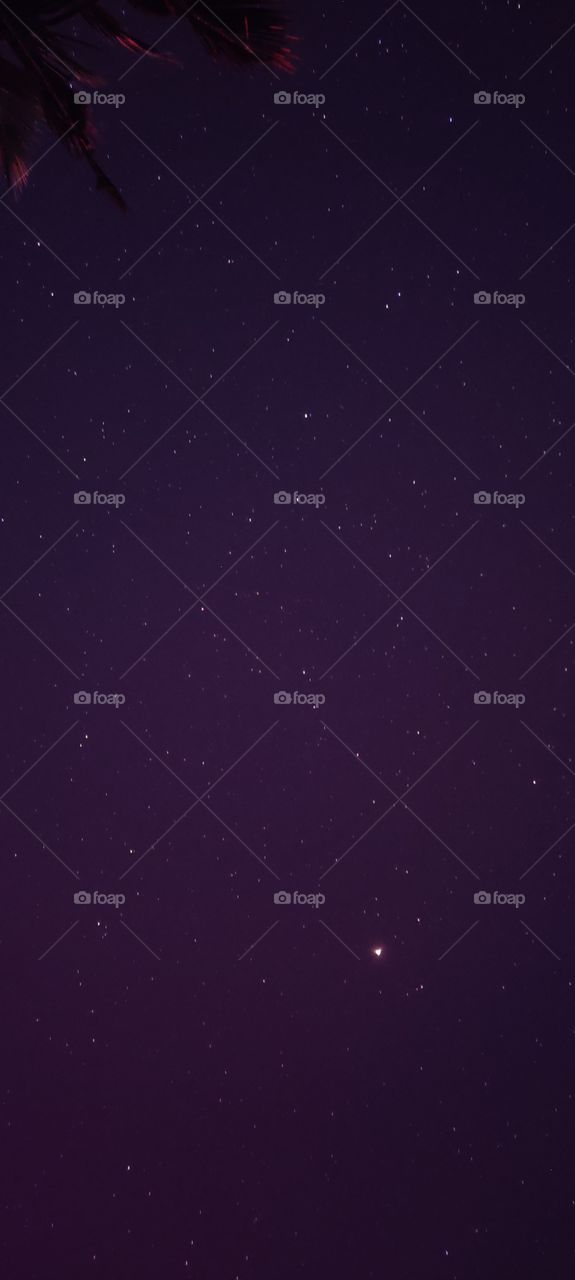 The Beauty of night unfold in the blanket of nature