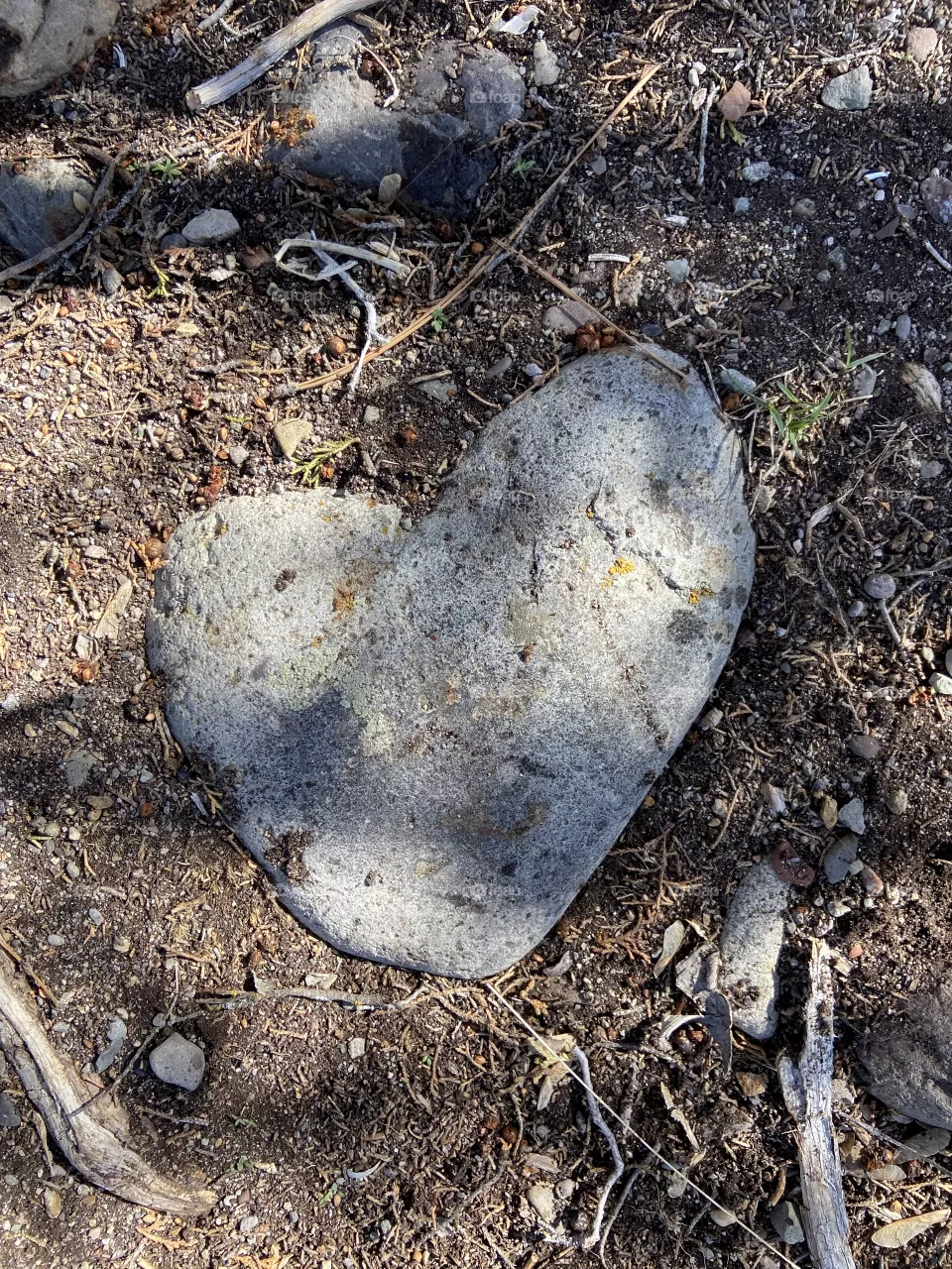 Heart shaped rock