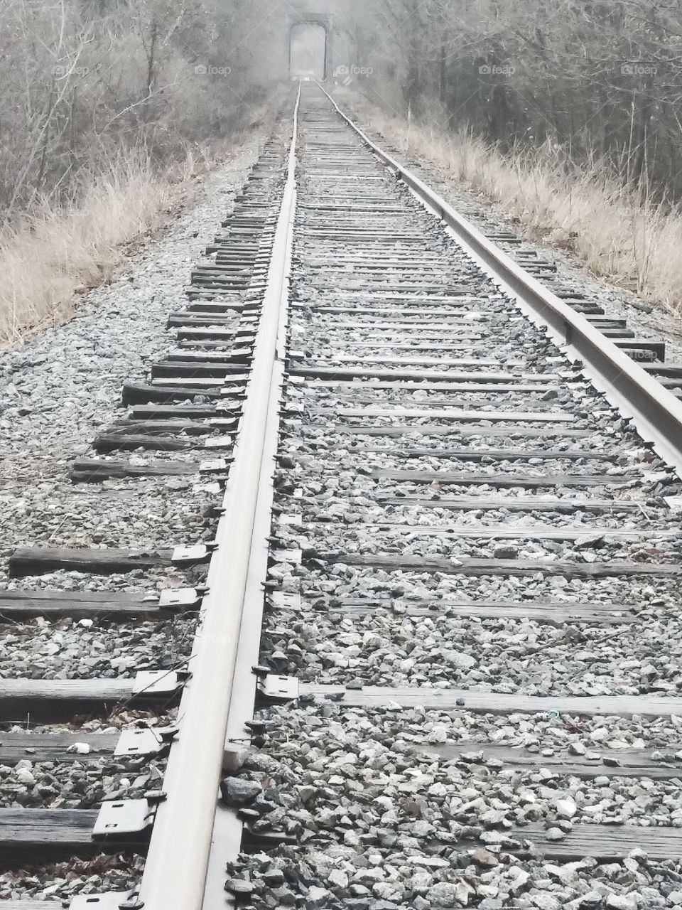 Railroad Track