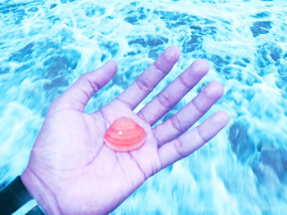 Ocean Shells beauty in my hand