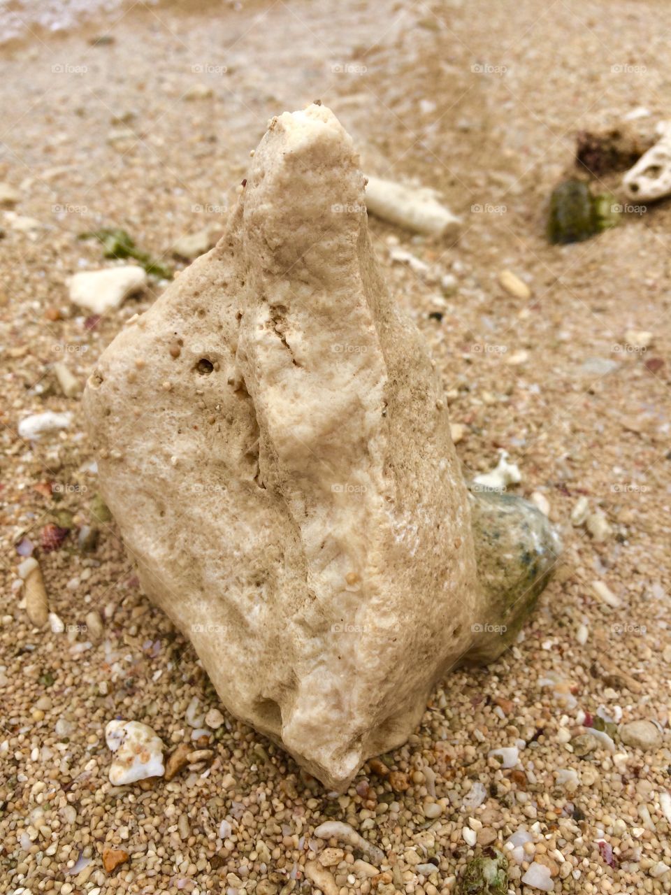 Sea stone 