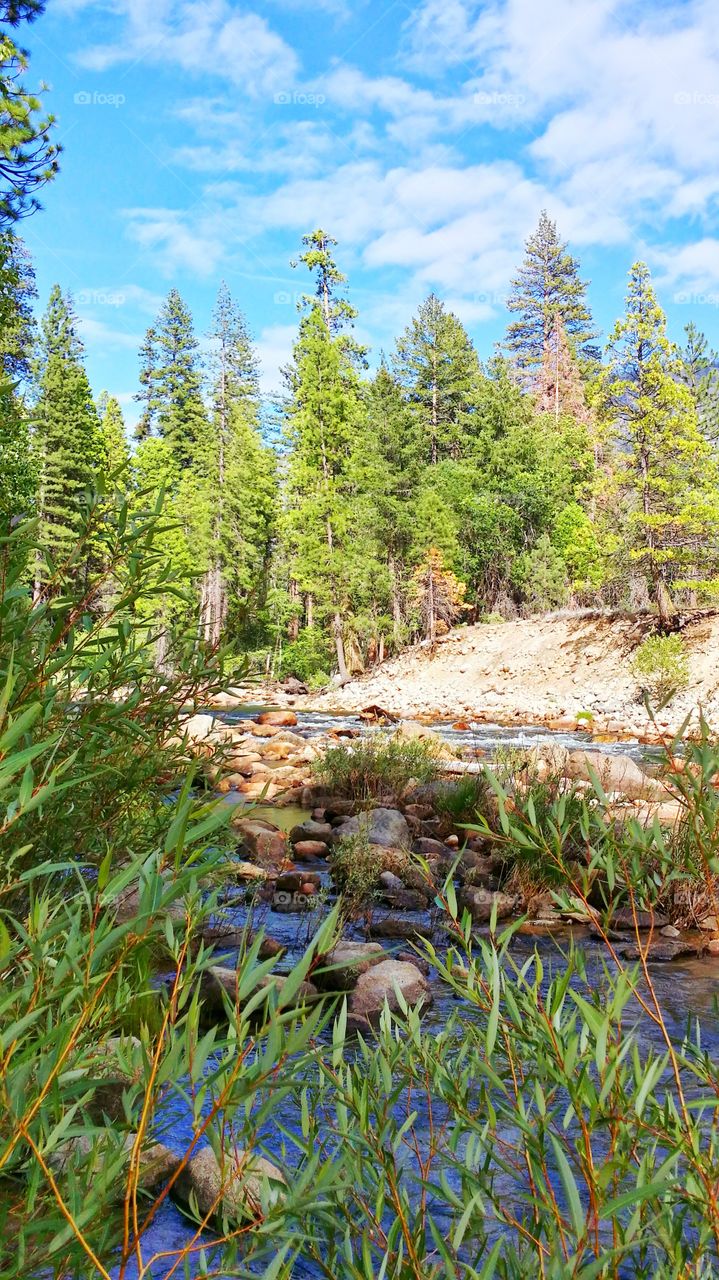 Beautiful Yosemite. This was a great fishing spot