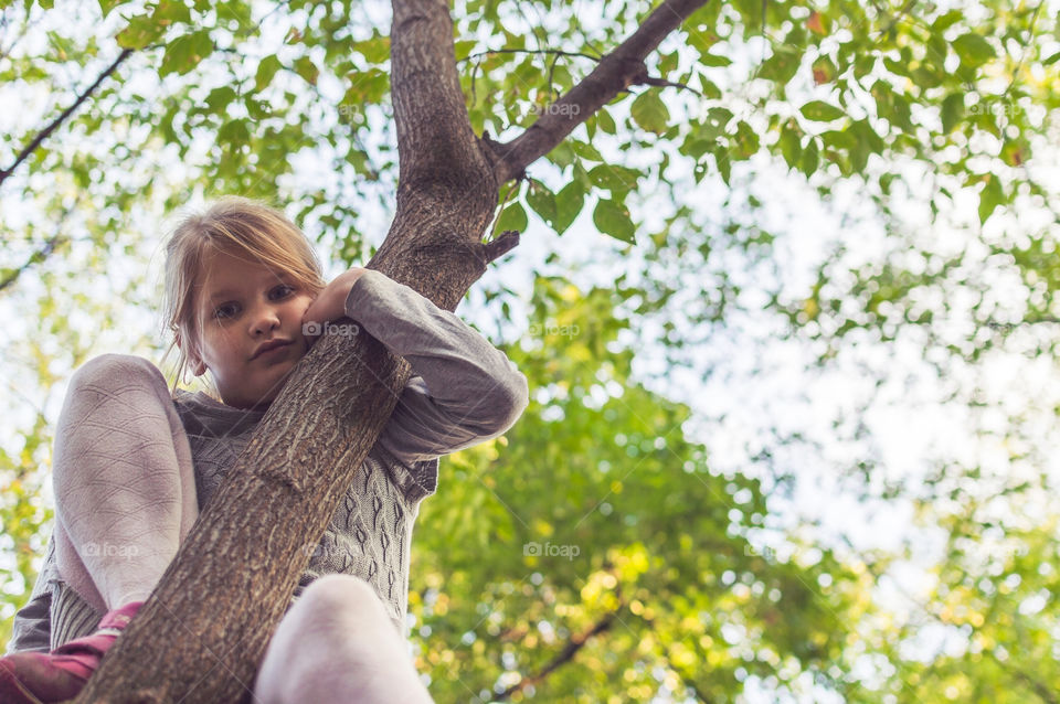 girl on the tree