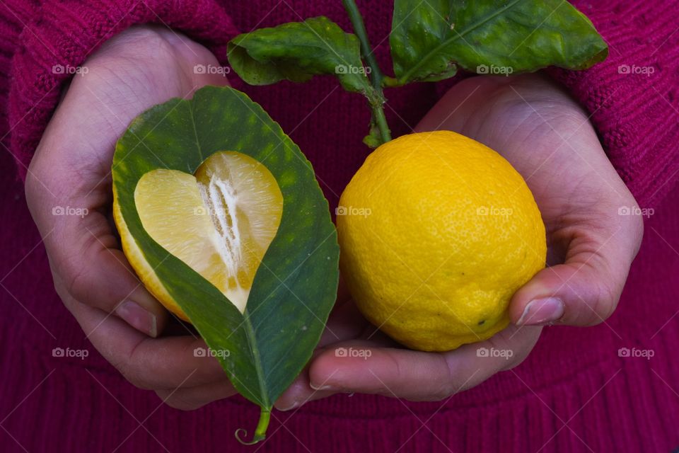 Person holding lemon and leaf cut in heart shape