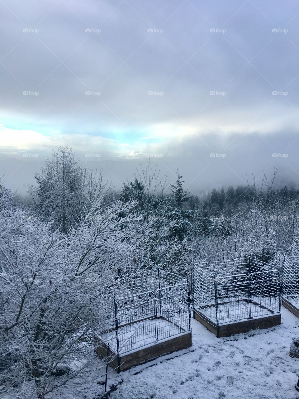 Our backyard with a little snow fall. 