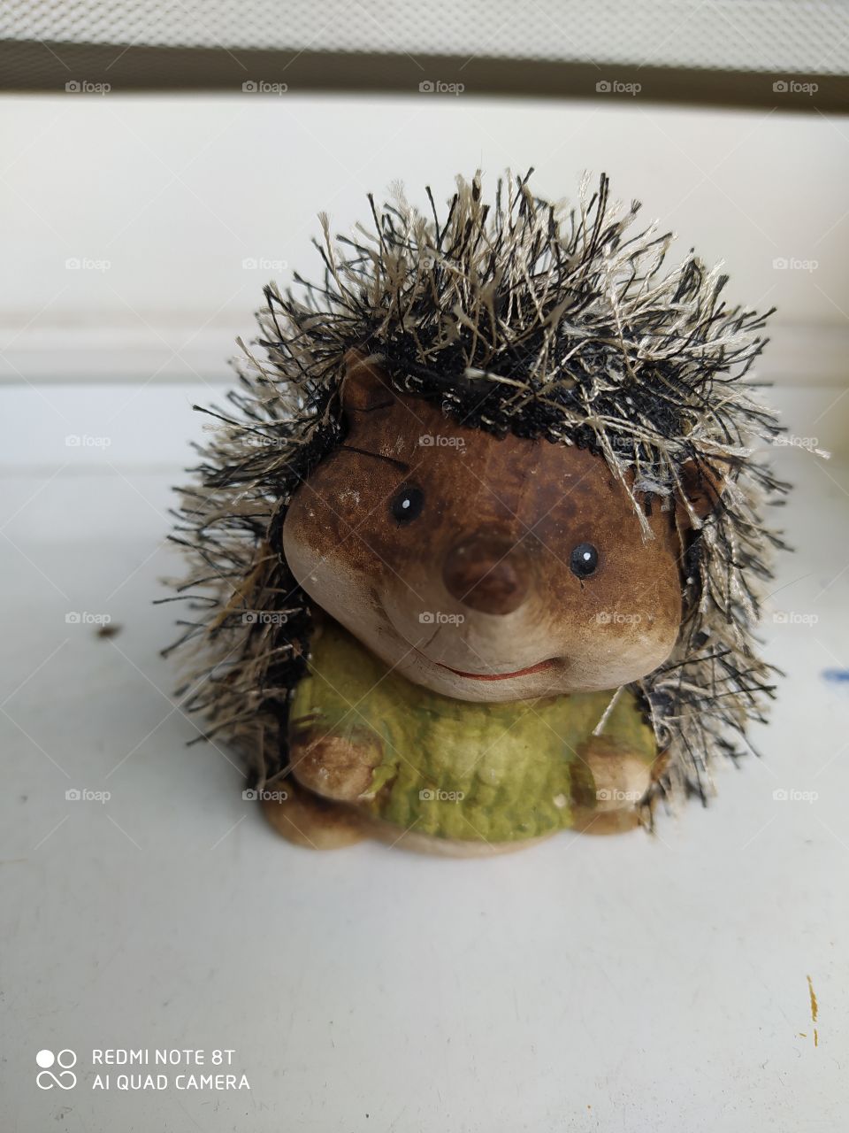 Hedgehog
