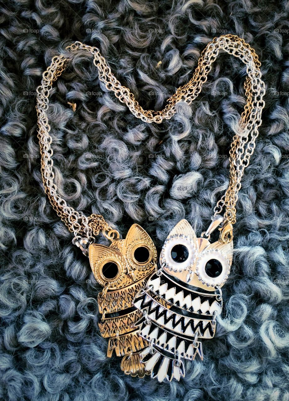 Owl heart