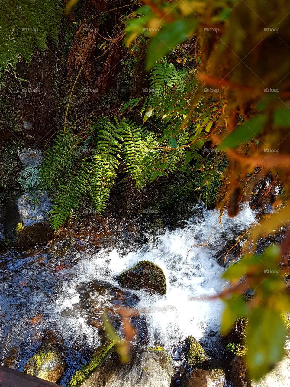 pucon termas geométricas