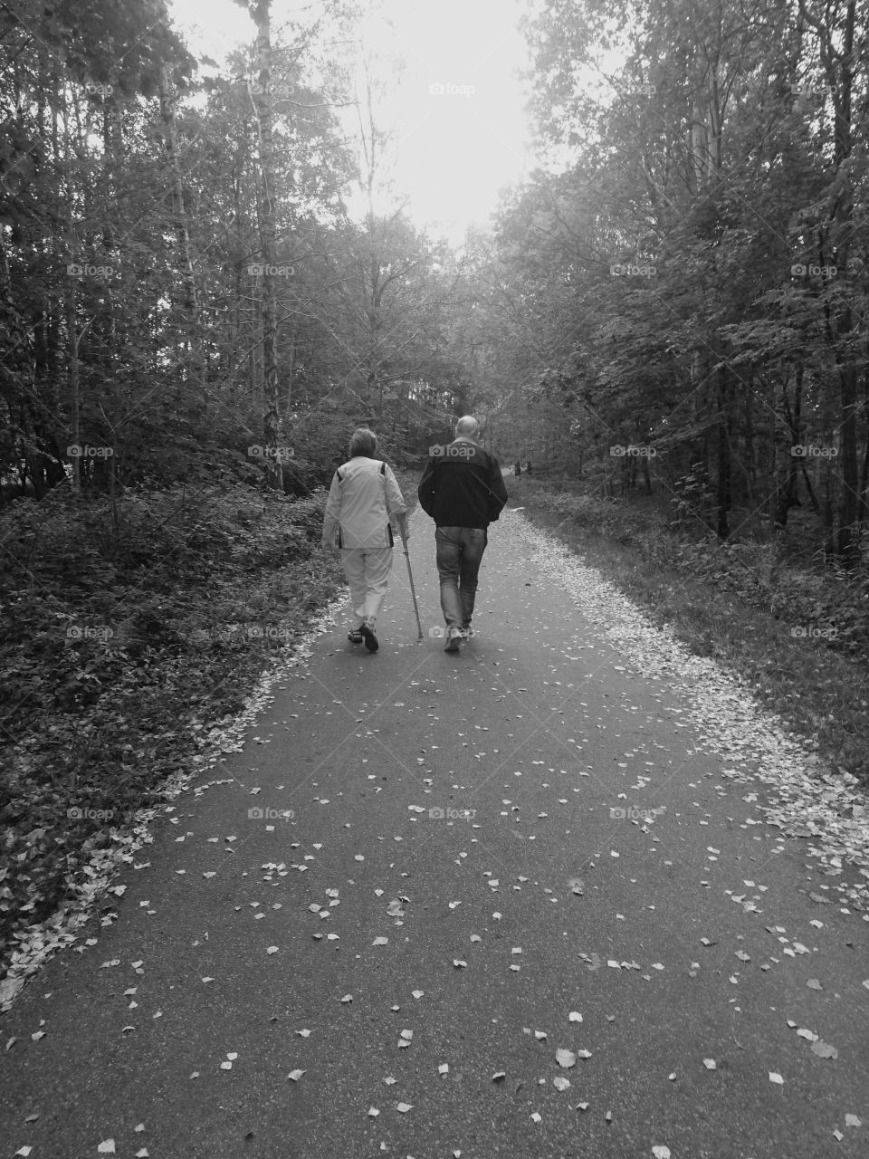 elderly couple walking into the sunset together