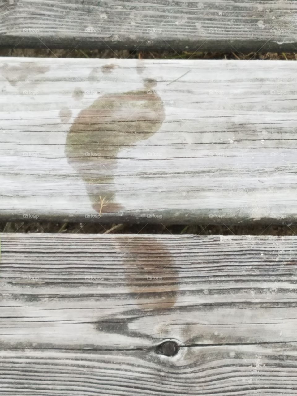 summer footprint on the dock