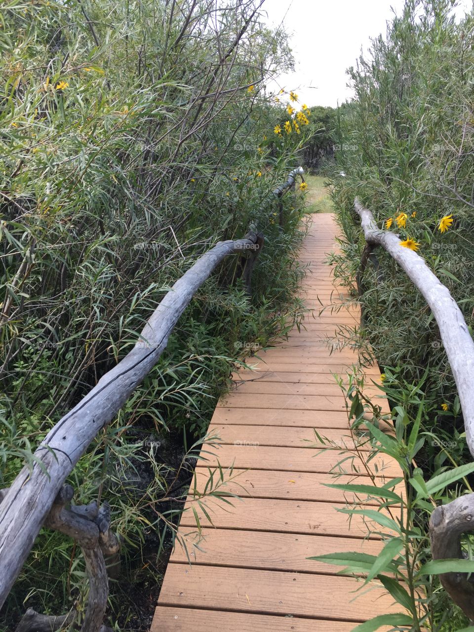 Bridge to hot springs. At valley view hot springs 