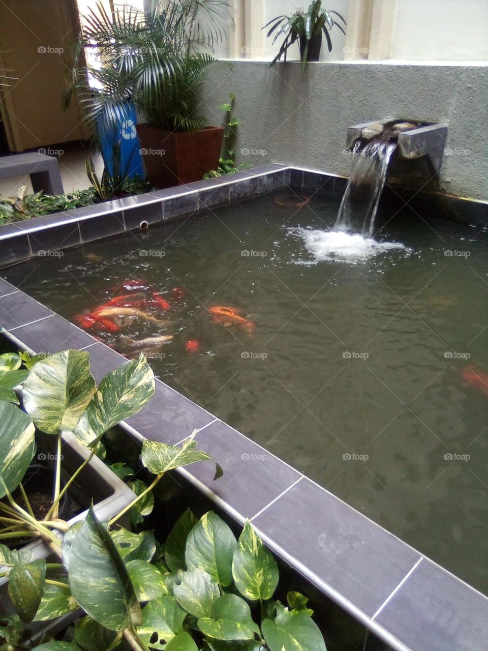 when you receive wisdom from the heaven you will never have time to do what is not Wong but you will always have to do what is right .