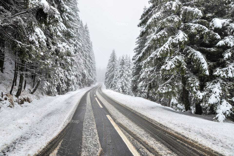 Snow, Road, Winter, Guidance, Wood