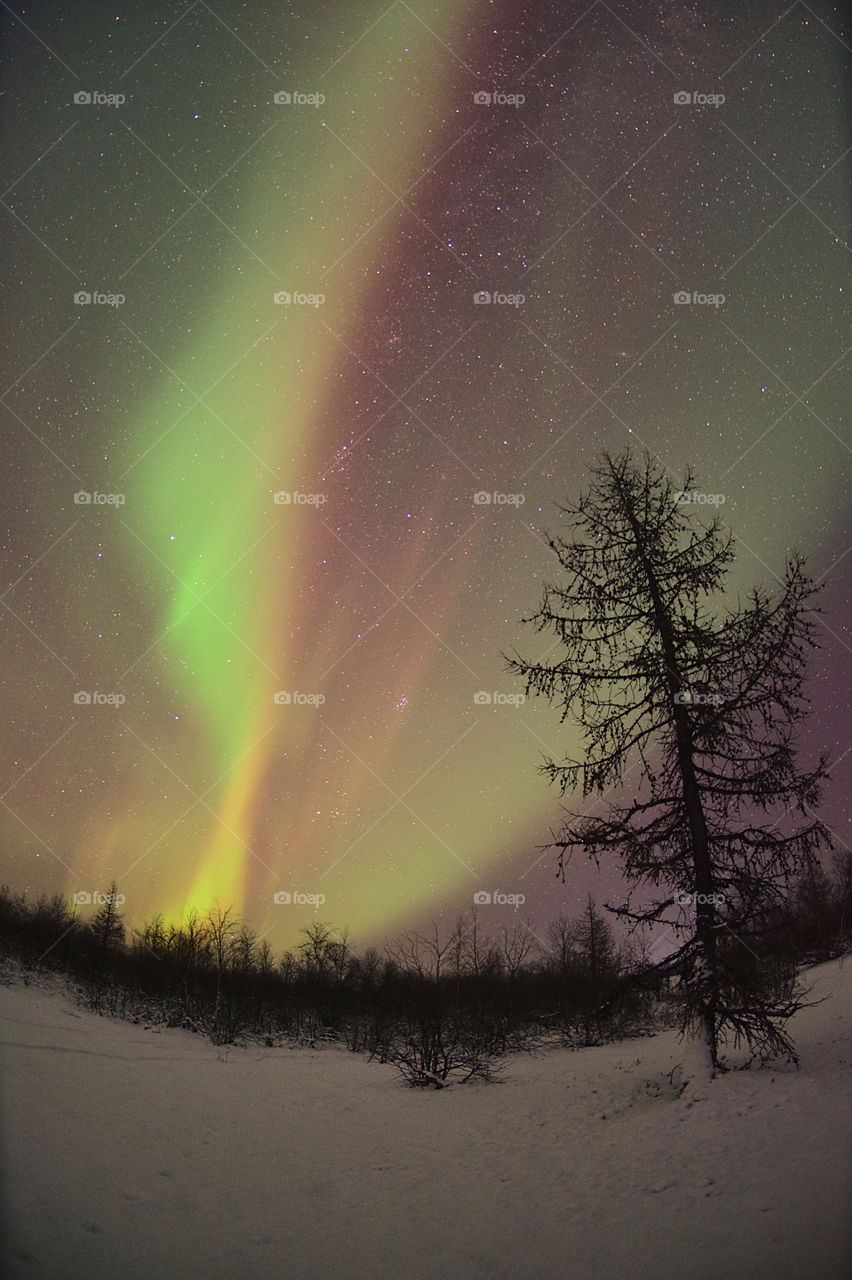 Night, aurora borealis, north, night north, polar region, night polar region, northern lights, stars, frost, frosty night, breath, cold, new year, Santa claus, northern santa claus, travel, night walk, shining sky, flashes, tundra, forest,