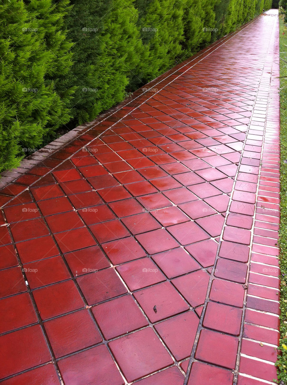 red road rain tile by nader_esk