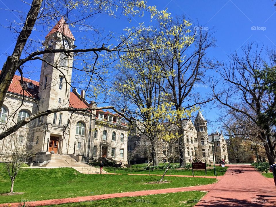 Indiana University, Bloomington