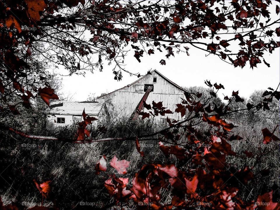 Rustic old Indiana barn