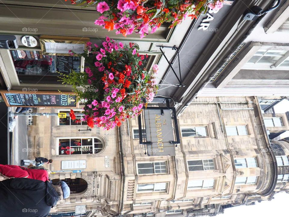 Colorful flowers in front of traditional, cute pubs in Edinburgh, Scotland.