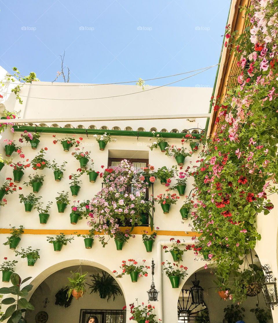 The Colourful Courtyards of Cordoba