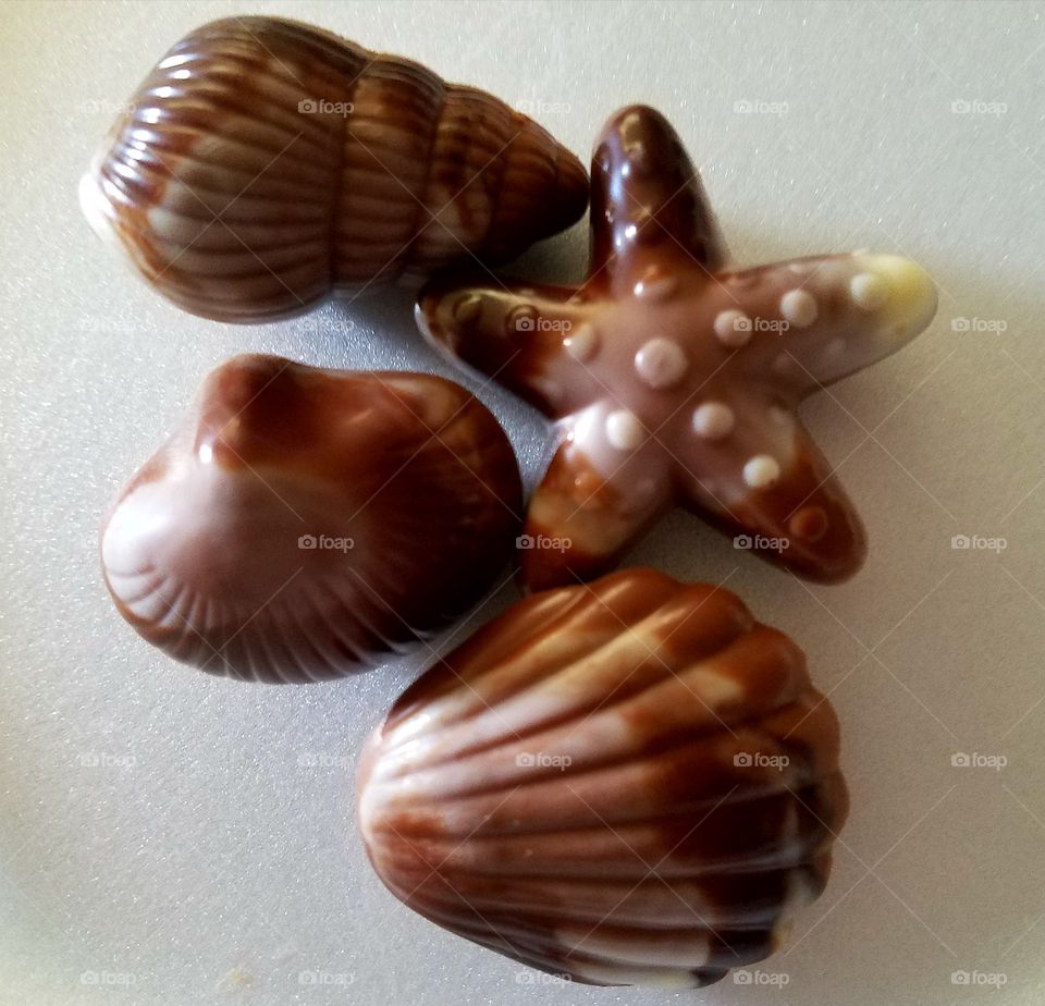 chocolate seashells