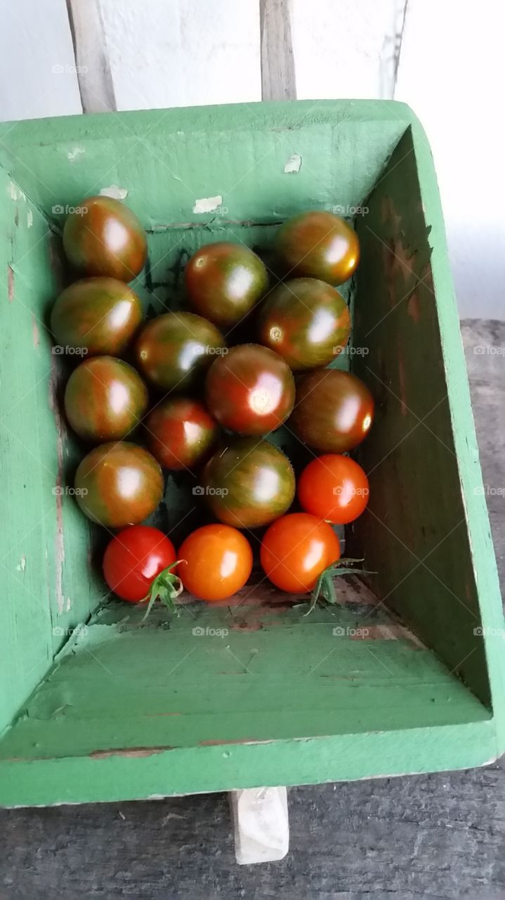 cherry tomatoes of different colors red and brown