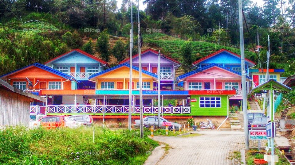 Colourfull House