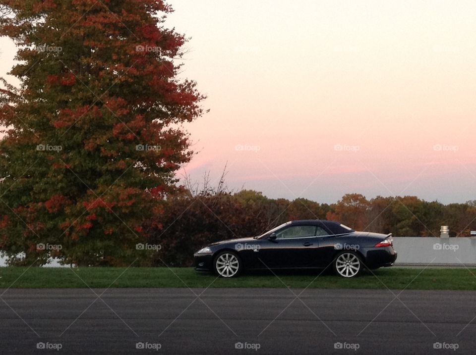 Jag in Fall