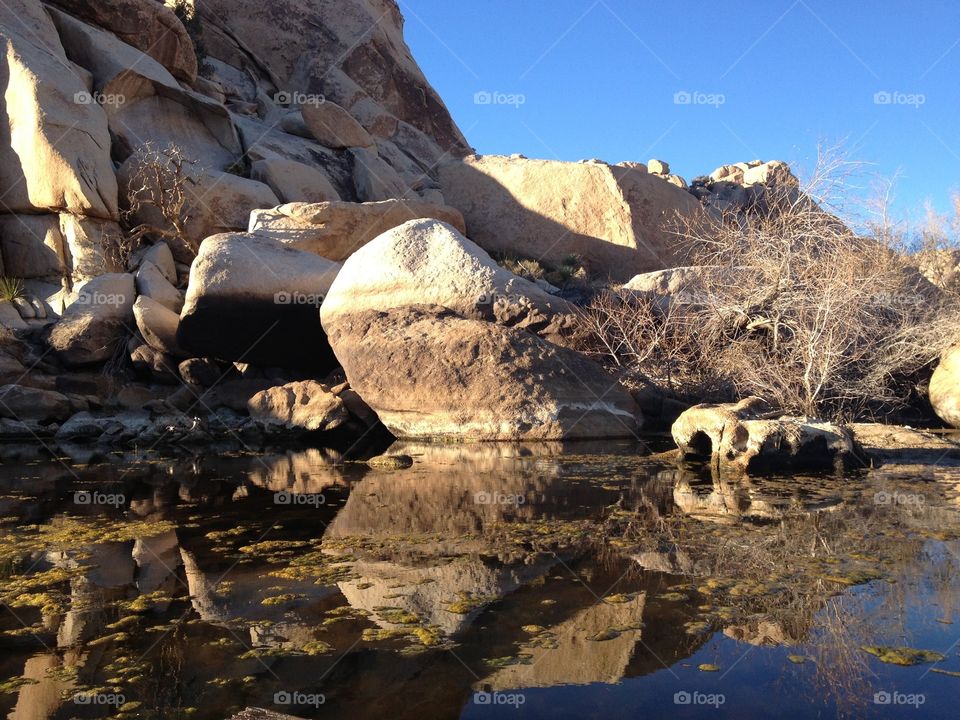 Heart . Mirrored reflection